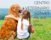 Veterinarios clínica veterinaria Sotivet