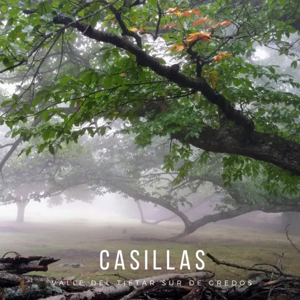 Casillas es un pueblo de la provincia de Ávila, al sur de Castilla y León, en la comarca del Valle del Tiétar, al sur de la Sierra de Gredos
