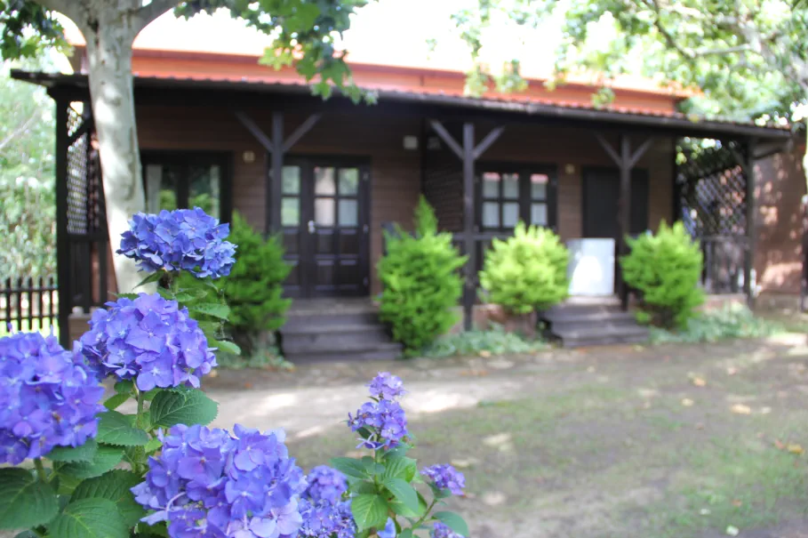 Complejo Turístico La Mat Madrigal del la Vera