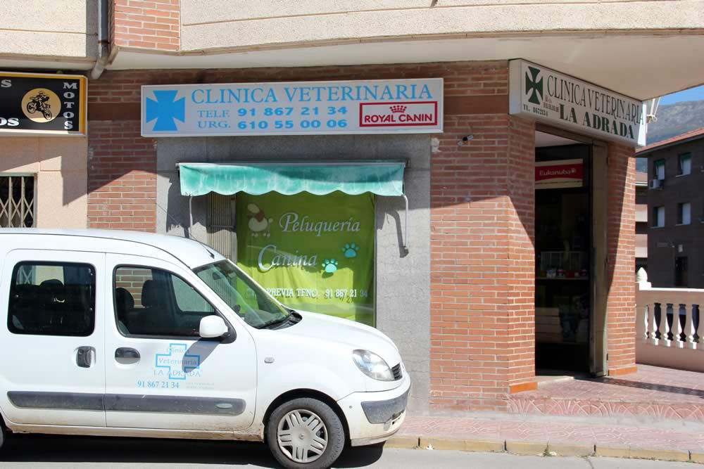 Clínica Veterinaria La Adrada, Ávila, Valle del Tiétar sur de Gredos
