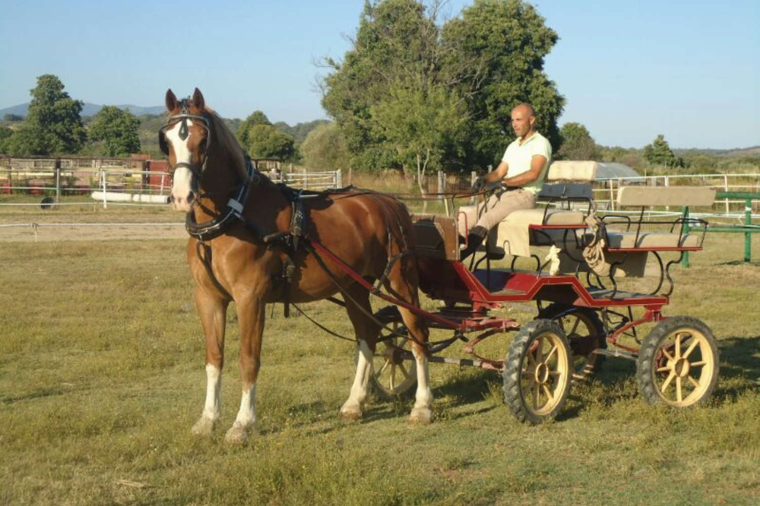 Club Hípico Roble Alto. turismo ecuestre Candeleda, Gredos, Valle del Tiétar: compra venta de caballos, rutas o paseos a caballo, hípica, equitación, clases, coche de bodas, doma, pupilaje, capeas, fiestas camperas, romerías...