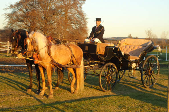 Doma de enganche y eventos con coches de caballo