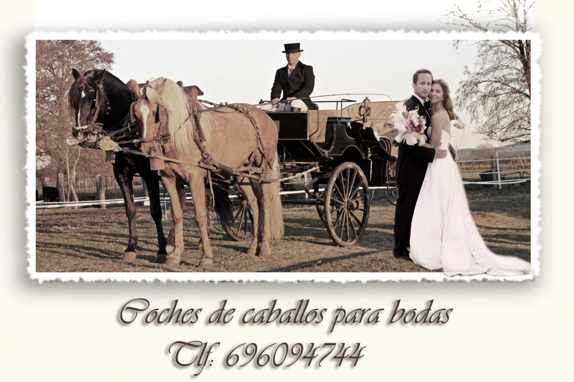 Coches de Caballos para Bodas y Eventos