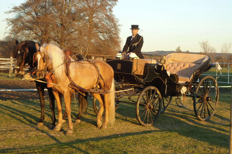 Club Hípico Roble Alto. turismo ecuestre Candeleda, Gredos, Valle del Tiétar: compra venta de caballos, rutas o paseos a caballo, hípica, equitación, clases, coche de bodas, doma, pupilaje, capeas, fiestas camperas, romerías...