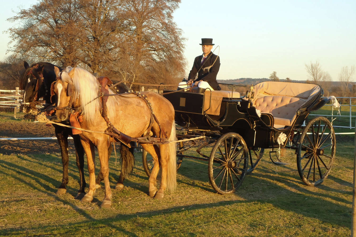 Club Hípico Roble Alto. turismo ecuestre Candeleda, Gredos, Valle del Tiétar: compra venta de caballos, rutas o paseos a caballo, hípica, equitación, clases, coche de bodas, doma, pupilaje, capeas, fiestas camperas, romerías...