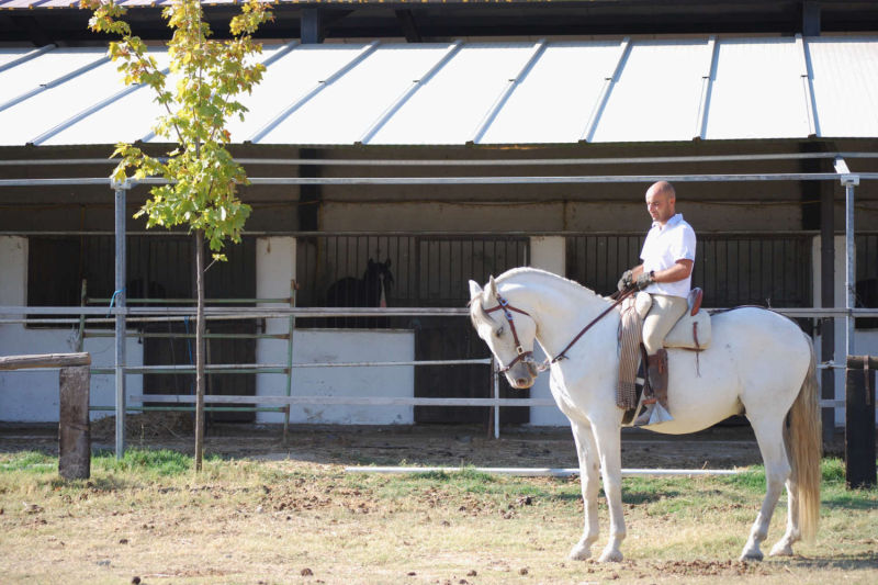 Club Hípico Roble Alto. turismo ecuestre Candeleda, Gredos, Valle del Tiétar: compra venta de caballos, rutas o paseos a caballo, hípica, equitación, clases, coche de bodas, doma, pupilaje, capeas, fiestas camperas, romerías...