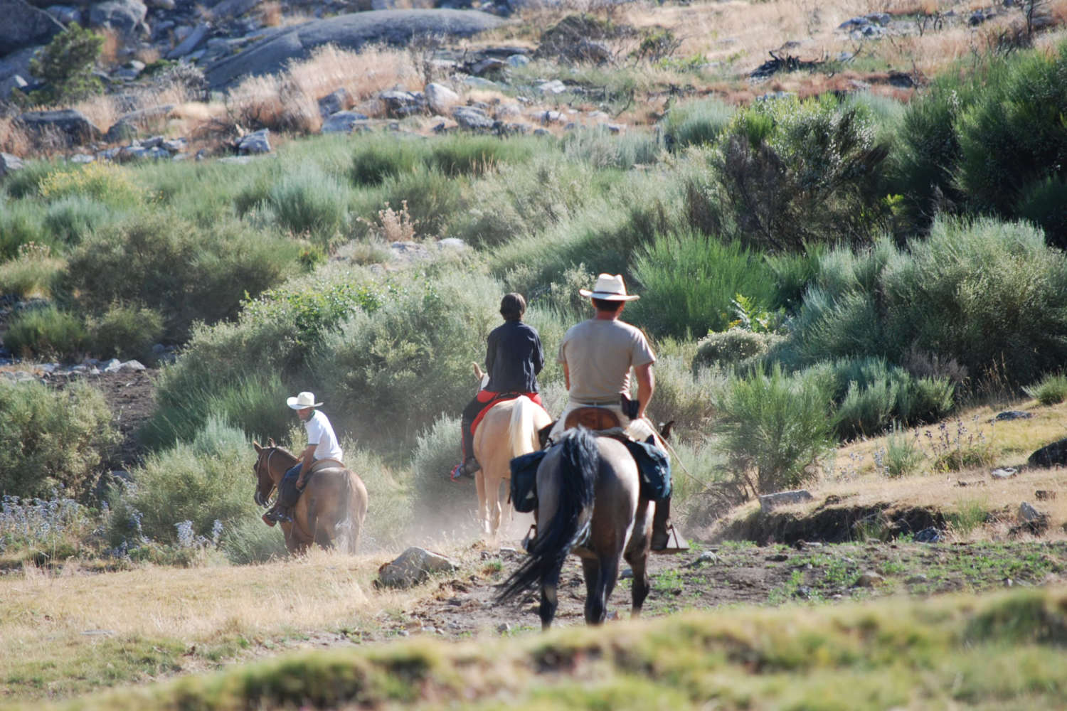 Club Hípico Roble Alto. turismo ecuestre Candeleda, Gredos, Valle del Tiétar: compra venta de caballos, rutas o paseos a caballo, hípica, equitación, clases, coche de bodas, doma, pupilaje, capeas, fiestas camperas, romerías...