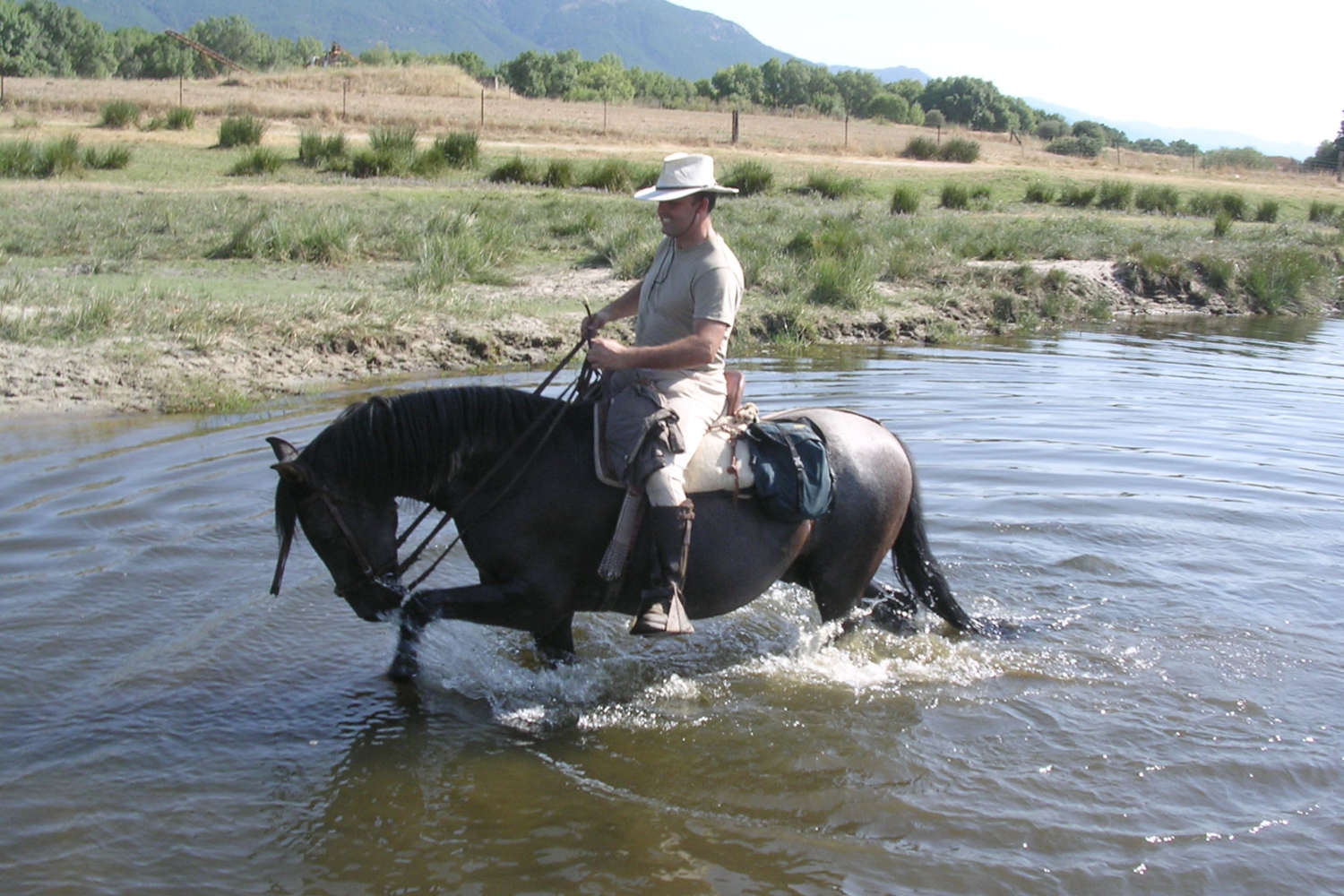 Club Hípico Roble Alto. turismo ecuestre Candeleda, Gredos, Valle del Tiétar: compra venta de caballos, rutas o paseos a caballo, hípica, equitación, clases, coche de bodas, doma, pupilaje, capeas, fiestas camperas, romerías...