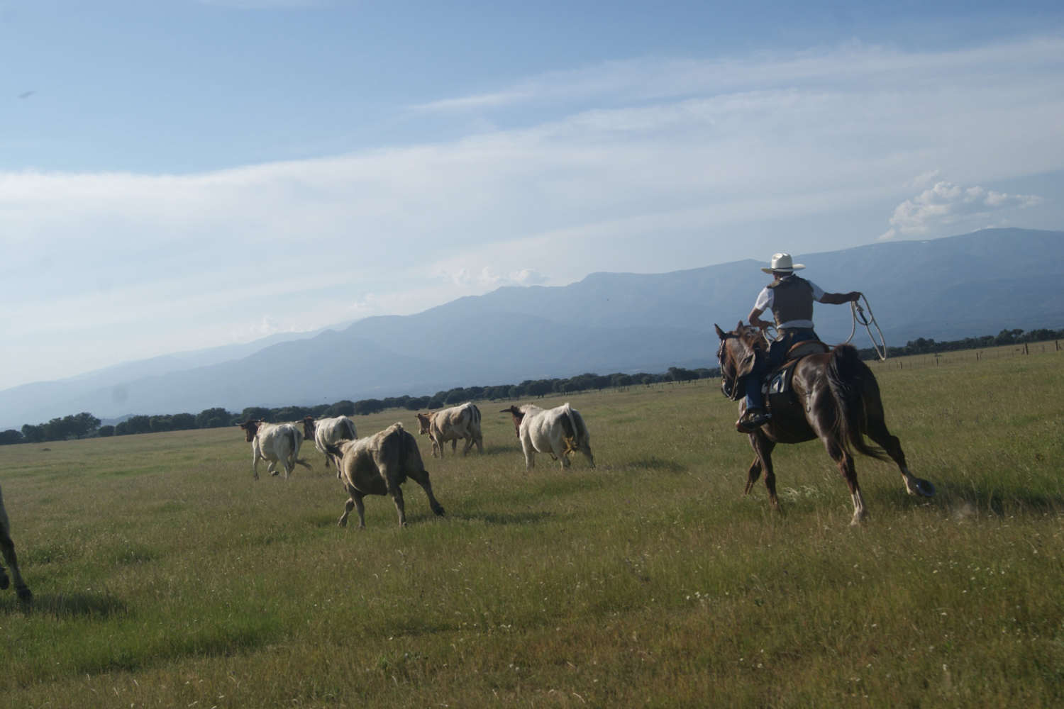 Club Hípico Roble Alto. turismo ecuestre Candeleda, Gredos, Valle del Tiétar: compra venta de caballos, rutas o paseos a caballo, hípica, equitación, clases, coche de bodas, doma, pupilaje, capeas, fiestas camperas, romerías...