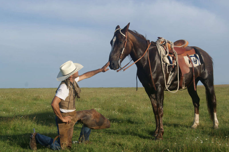 Club Hípico Roble Alto. turismo ecuestre Candeleda, Gredos, Valle del Tiétar: compra venta de caballos, rutas o paseos a caballo, hípica, equitación, clases, coche de bodas, doma, pupilaje, capeas, fiestas camperas, romerías...