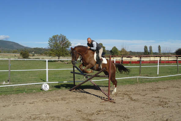 Saltos con caballos