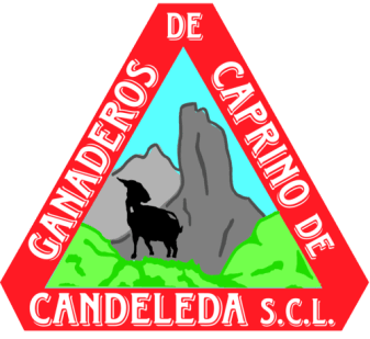 Queso de cabra artesano Candeleda Ganaderos de Caprino, Gredos