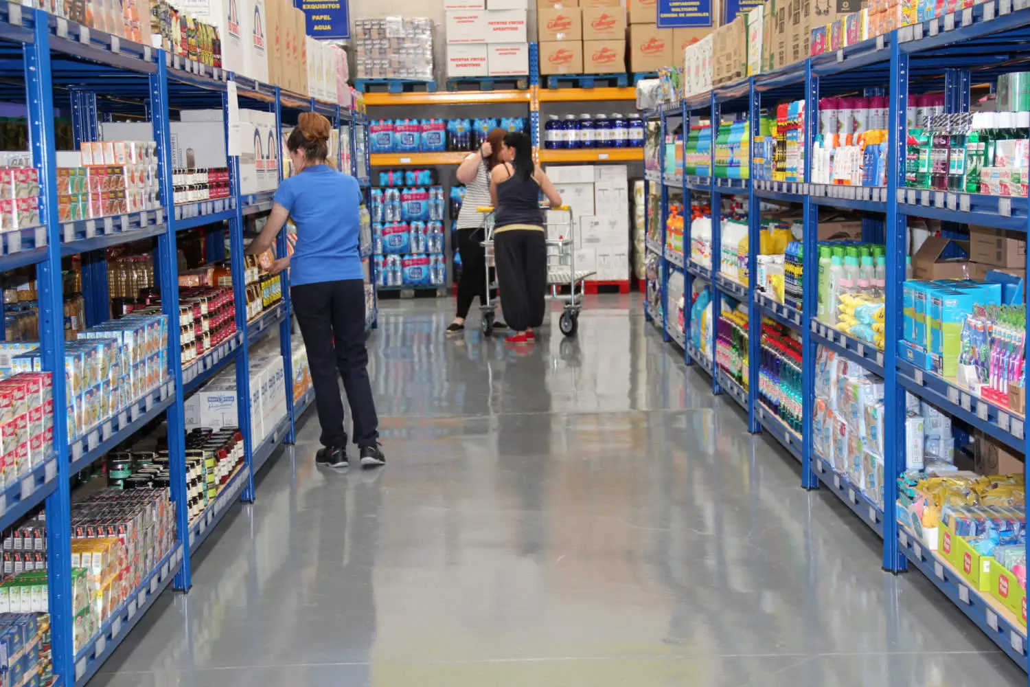 Hipermercado supermercado en Sotillo de la Adrada, Valle del Tiétar sur de Gredos. Autoservicio alimentación comida y bebidas alimentos gourmet carnicería carnes envasadas