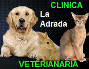 Clinica Veterinaria La Adrada, La Adrada (Avila)