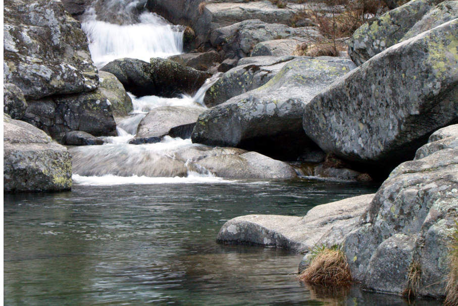 Charca La Francisca, Gredos