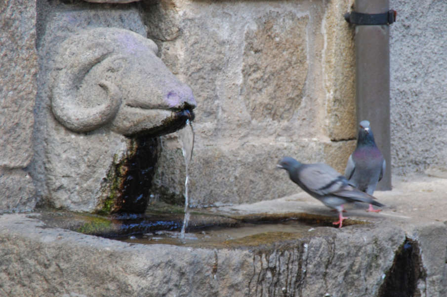 Fuente del Carnero Piedralaves