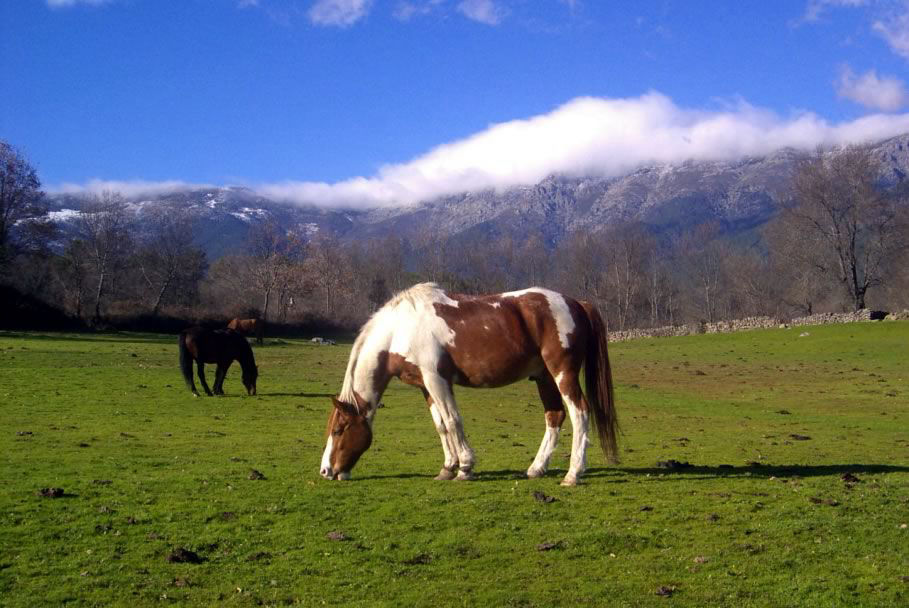 Trekking, rutas y naturaleza en Piedralaves, rutas de senderismo y montañismo