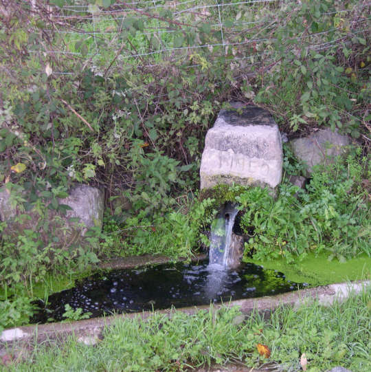 Naturaleza Piedralaves