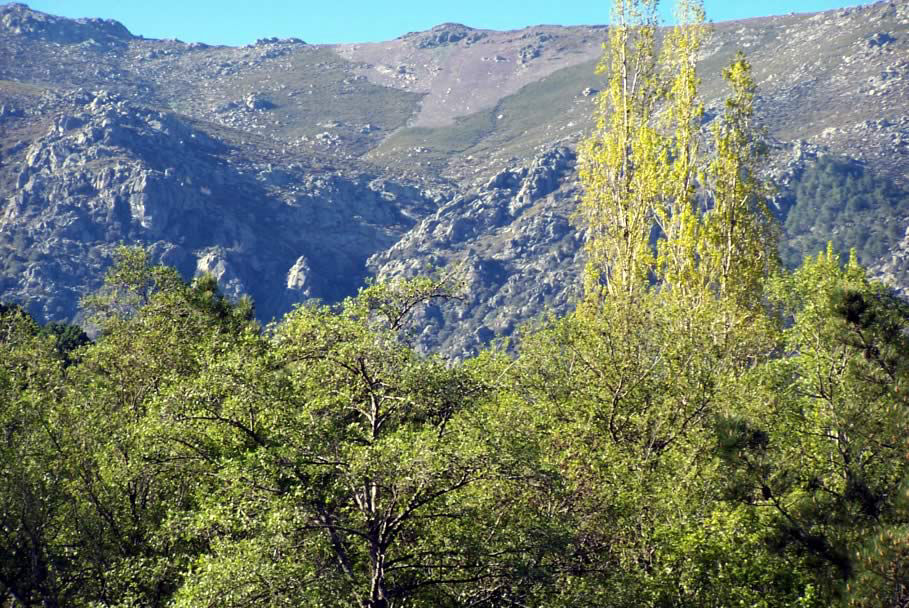 Trekking, rutas y naturaleza en Piedralaves, rutas de senderismo y montañismo