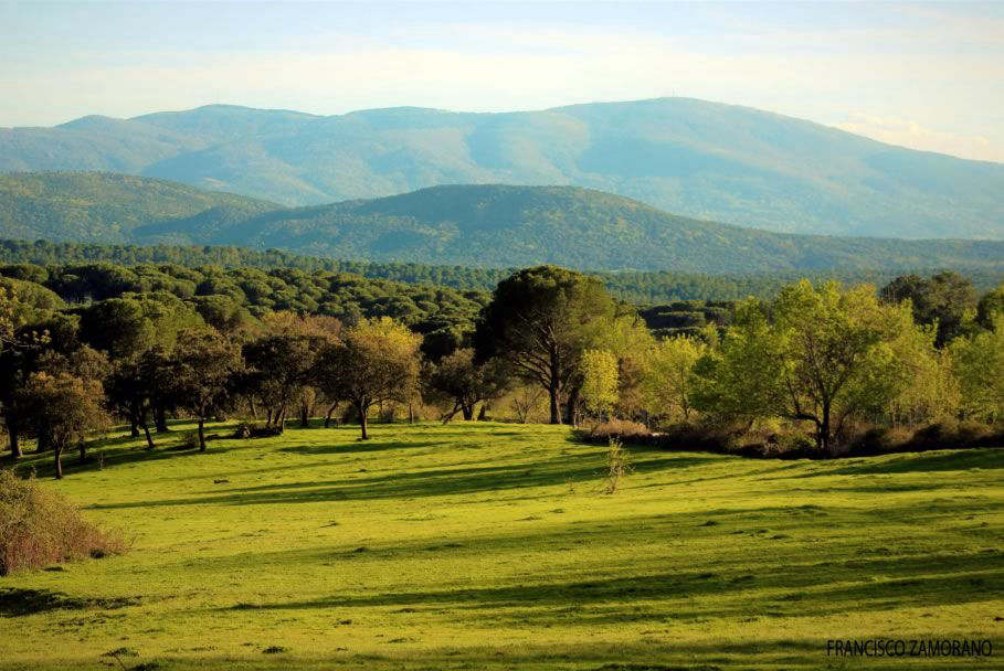 Trekking, rutas y naturaleza en Piedralaves, rutas de senderismo y montañismo