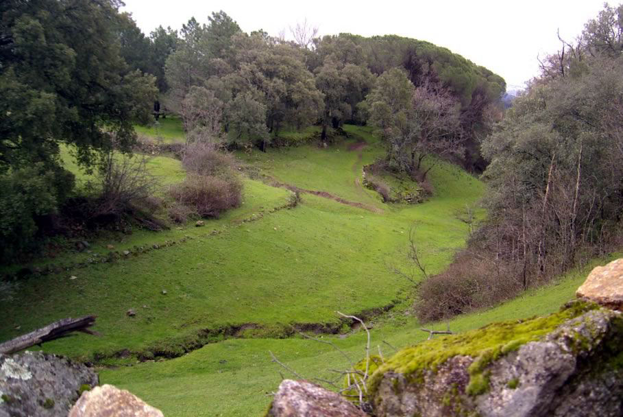 Trekking, rutas y naturaleza en Piedralaves, rutas de senderismo y montañismo