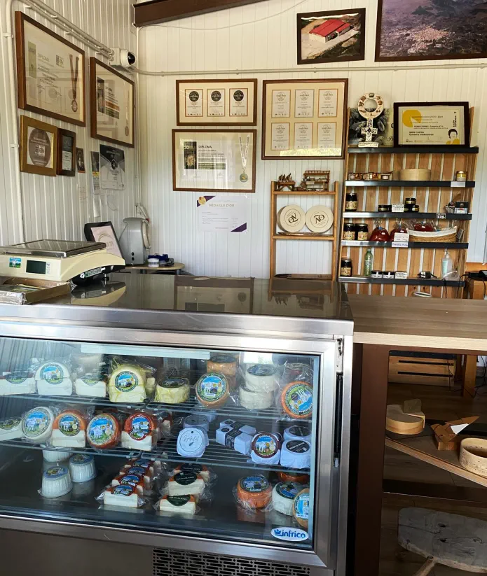 Los mejores quesos de cabra del Valle del Tiétar