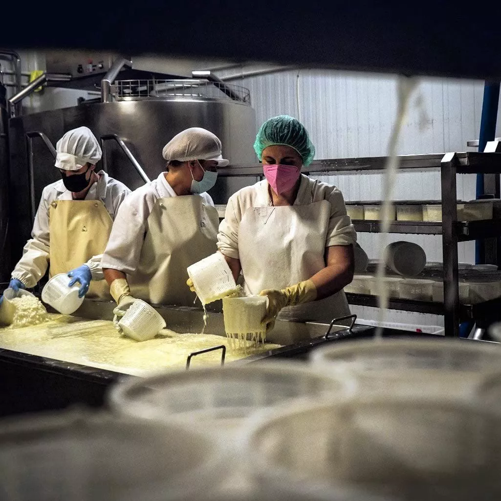 Productos Artesanos Valdecabras, quesos de cabra calidad suprema