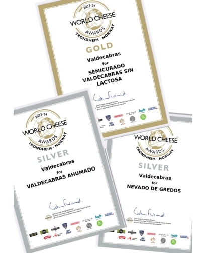 WORLD CHEESE AWARDS 2023-2024 (ORO: SEMICURADO SIN LACTOSA - PLATA: AHUMADO - PALTA: NEVADO DE GREDOS)