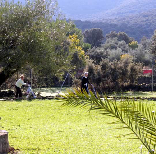 Residencia de mayores, residencia tercera edad, de ancianos, Valle del Tiétar sur de Gredos, Fresnedilla, Ávila, cerca de Talavera de la Reina y Madrid, residencia geriátrica