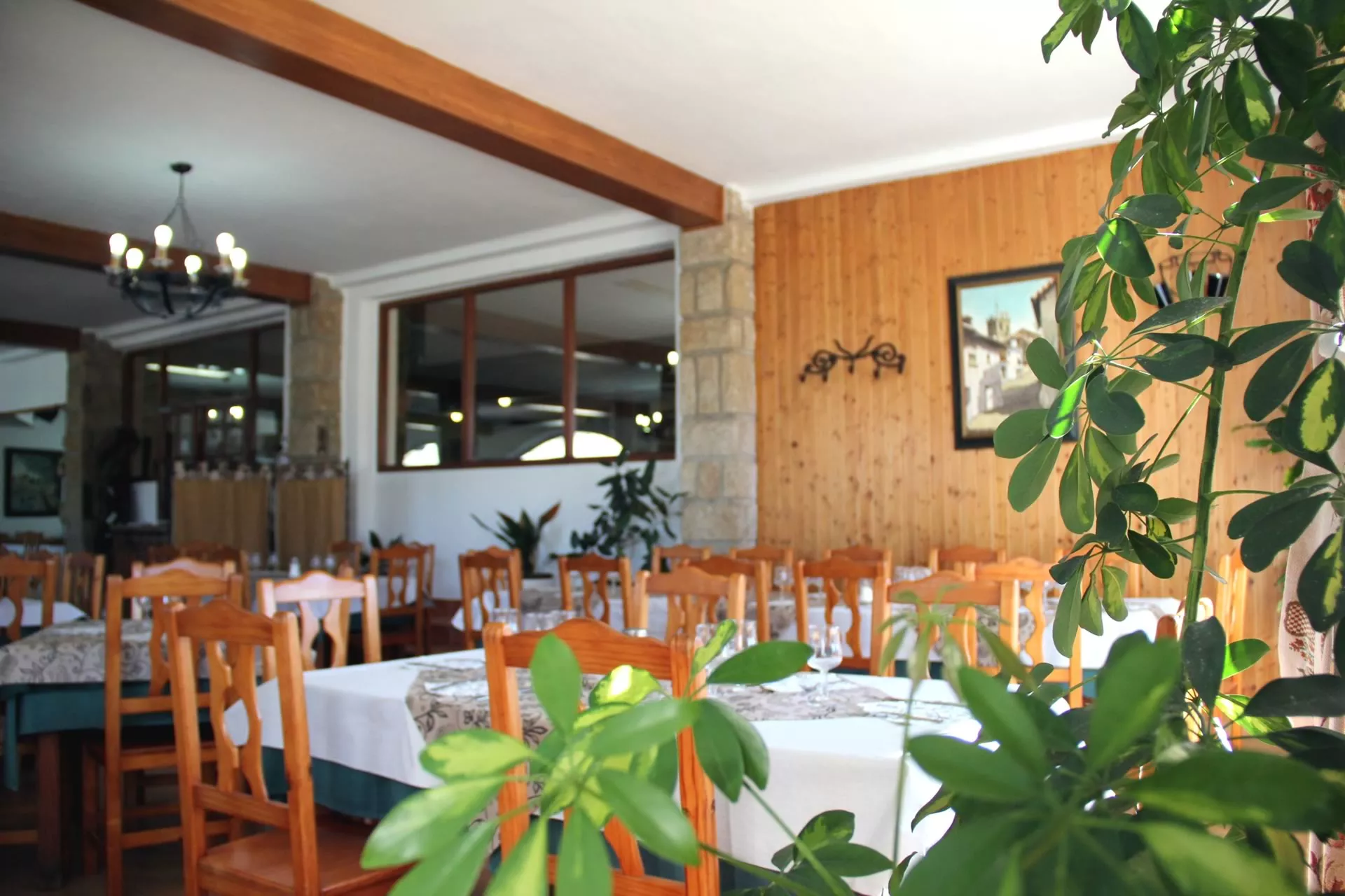 Bodas, celebraciones Arenas de San Pedro