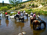 rutas a caballo organizadas por Gredos